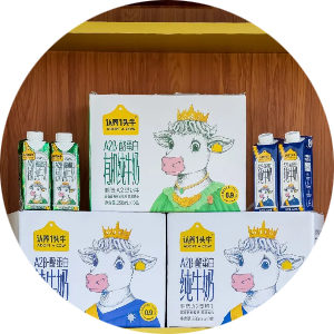 金莎9001zz以诚为本(中国)有限公司